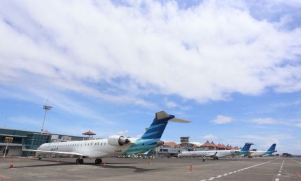 Kemenhub Klaim Tiket Pesawat Domestik Lebih Murah, Yuk Simak