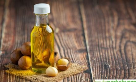 Keajaiban Minyak Kemiri Sebagai Pengobatan Tradisional Rambut